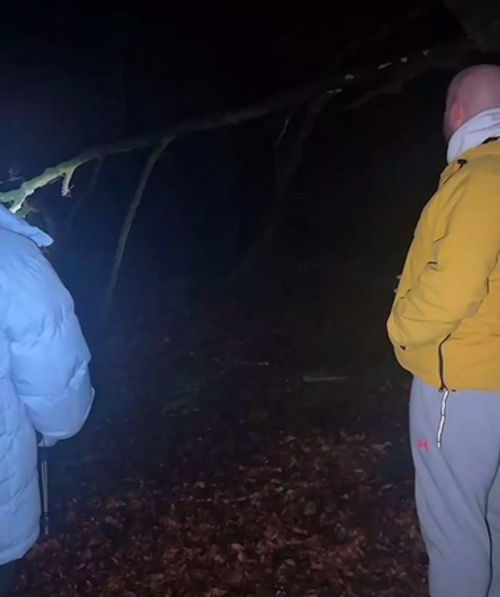 Registro do encontro dos investigadores paranormais com a criatura em cemitério de animais no interior da Inglaterra — Foto: Reprodução