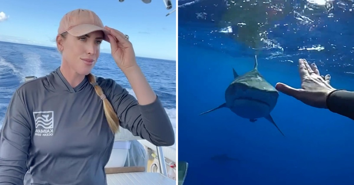 Influencer Mergulhadora Viraliza Ao Ensinar Como Se Livrar De Um Ataque De Tubarão E Fãs