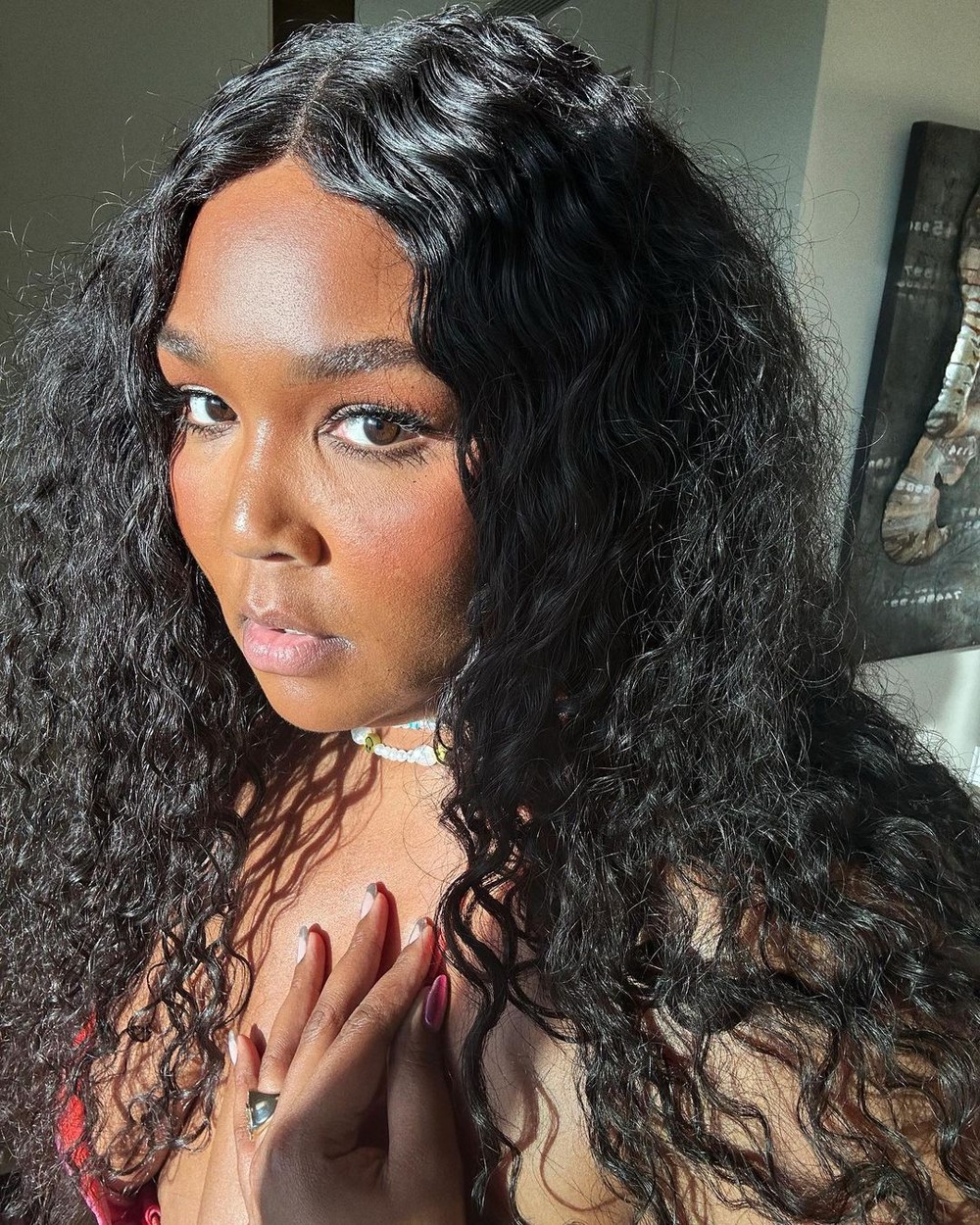 Cantora Lizzo implora para que a internet suma com fotos dela em festa ...