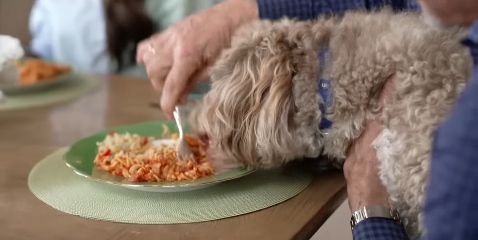 Sylvester Stallone deixa cão subir na mesa e comer do seu prato em cenas do seu reality show familiar — Foto: reprodução