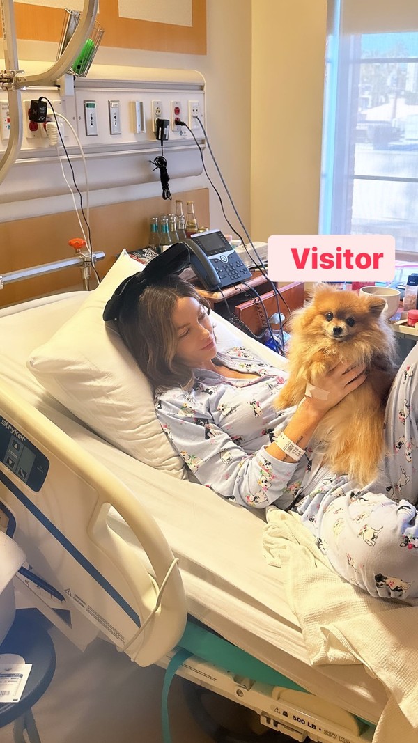 Fãs ficam alarmados com visitas de pets a atriz durante internação ...