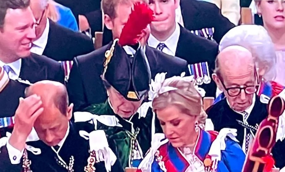 Príncipe Harry teve sua visão bloqueada por pena do chapéu da tia, Princesa Anne, durante coroação do pai Rei Charles III