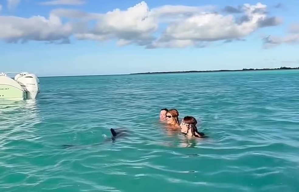 Stassie Karanikolaou e amigos nadando com um golfinho — Foto: Reprodução: Tik Tok