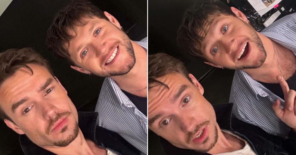 Liam Payne e Niall Horan — Foto: Reprodução