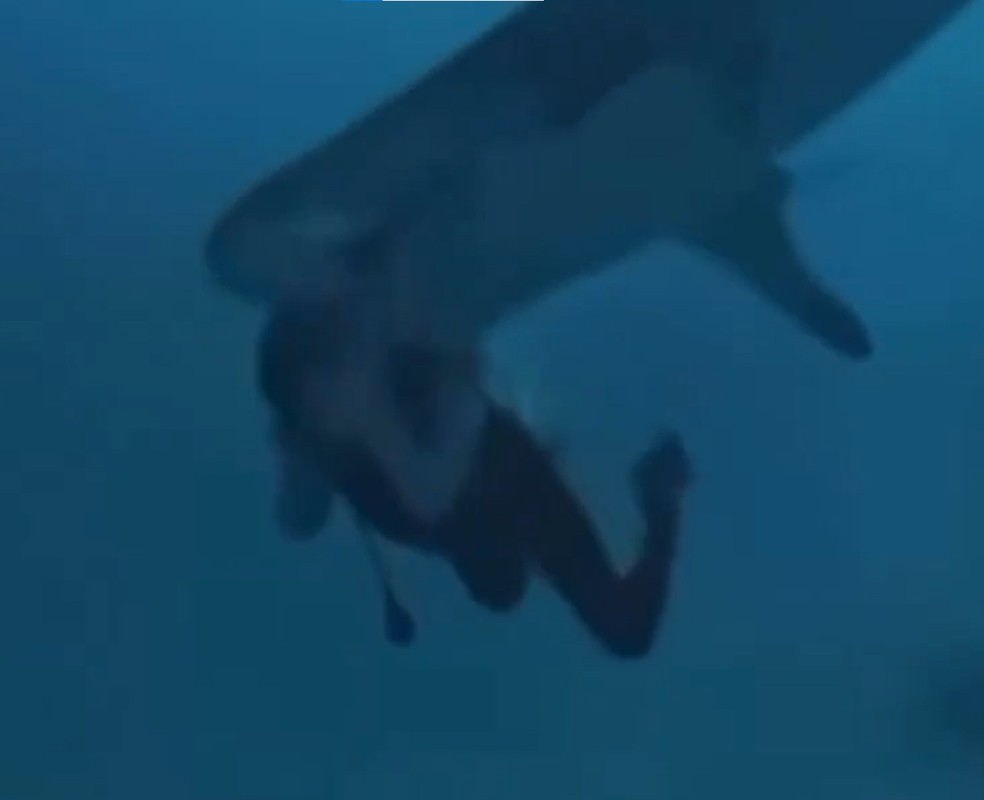 Vídeo assustador mostra tubarão mordendo a cabeça de turista em ataque nas Maldivas — Foto: Reprodução/Instagram
