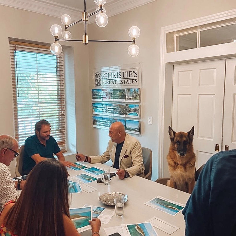 Gunther em uma reunião de trabalho — Foto: Reprodução | Instagram (@guntherrichdog)
