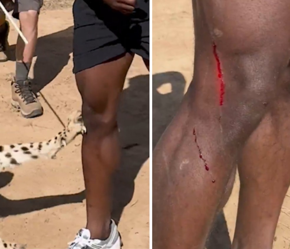 O streamer norte-americano IShowSpeed apostou uma corrida de alto nível com um guepardo — Foto: Reprodução/X