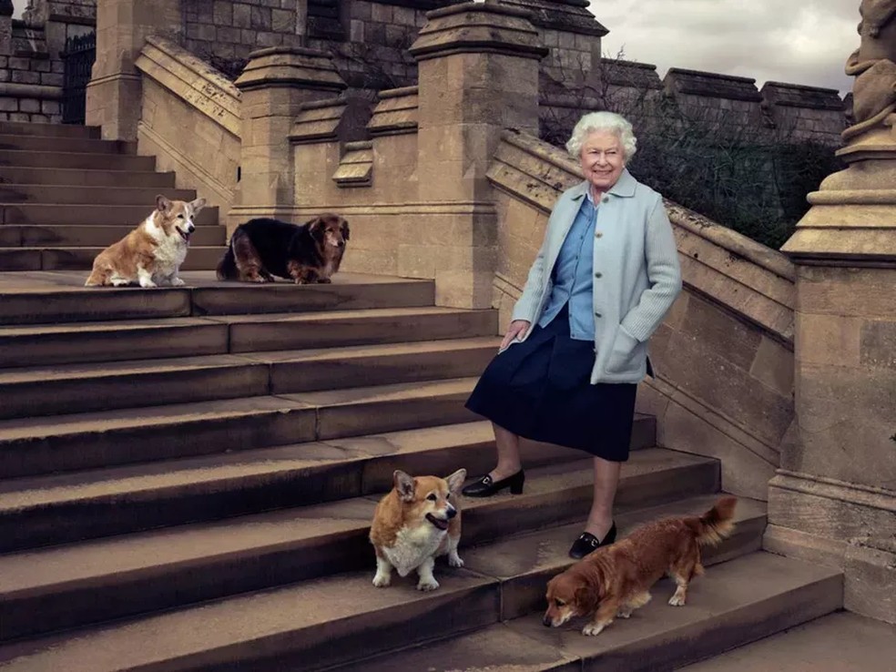Rainha Elizabeth II com seus cachorros da raça corgi — Foto: Instagram