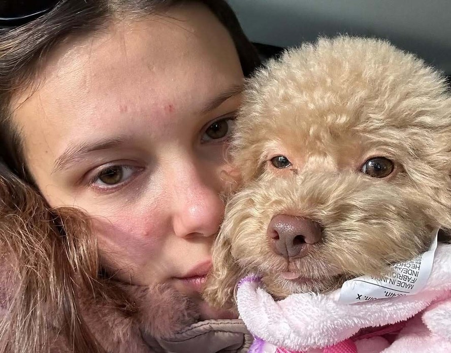 Millie Bobby Brown revela reação #39 histérica #39 da sua cachorrinha com a