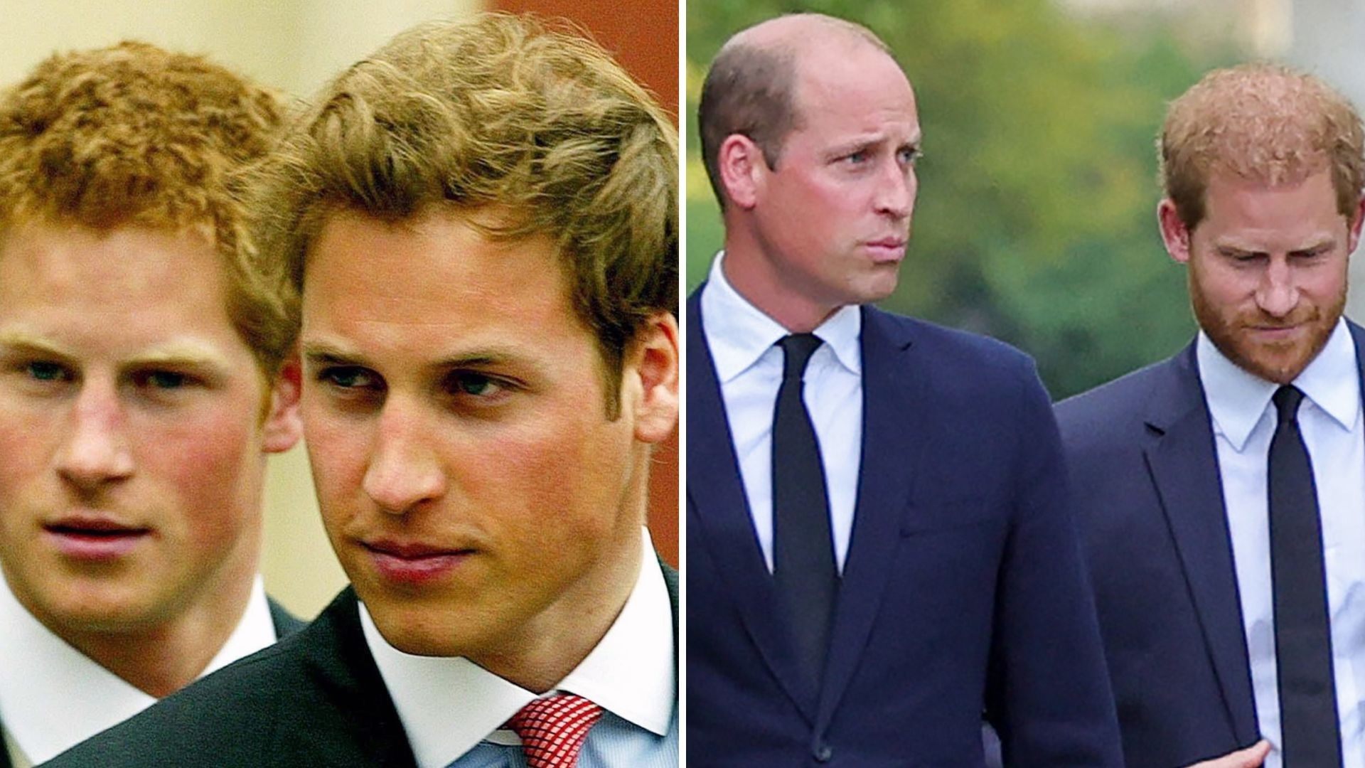 Relação de William e Harry já estava fadada ao fracasso antes de Meghan ...