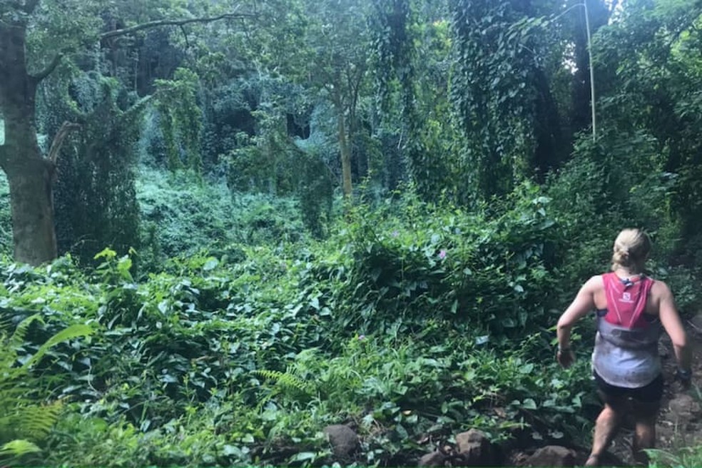 Foto tirada momentos antes da aparição do suposto demônio mostra área livre de pessoas — Foto: reprodução