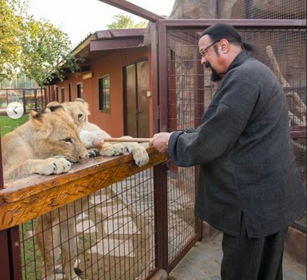 Steven Seagal em zoológico em Dubai — Foto: Instagram