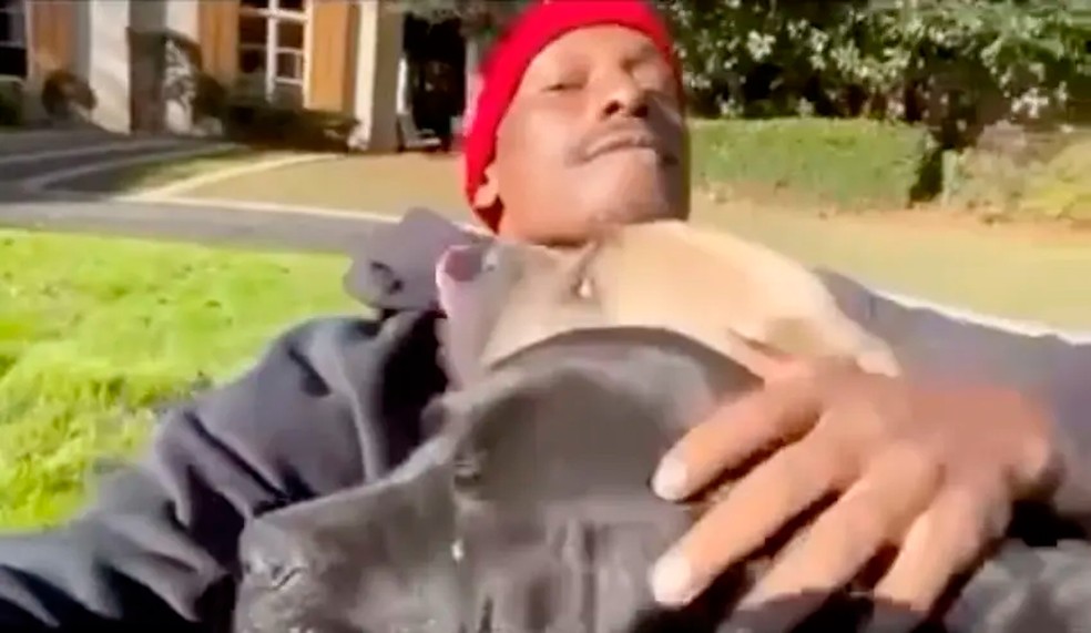 Os cães da raça cane corso do ator Tyrese Gibson — Foto: reprodução