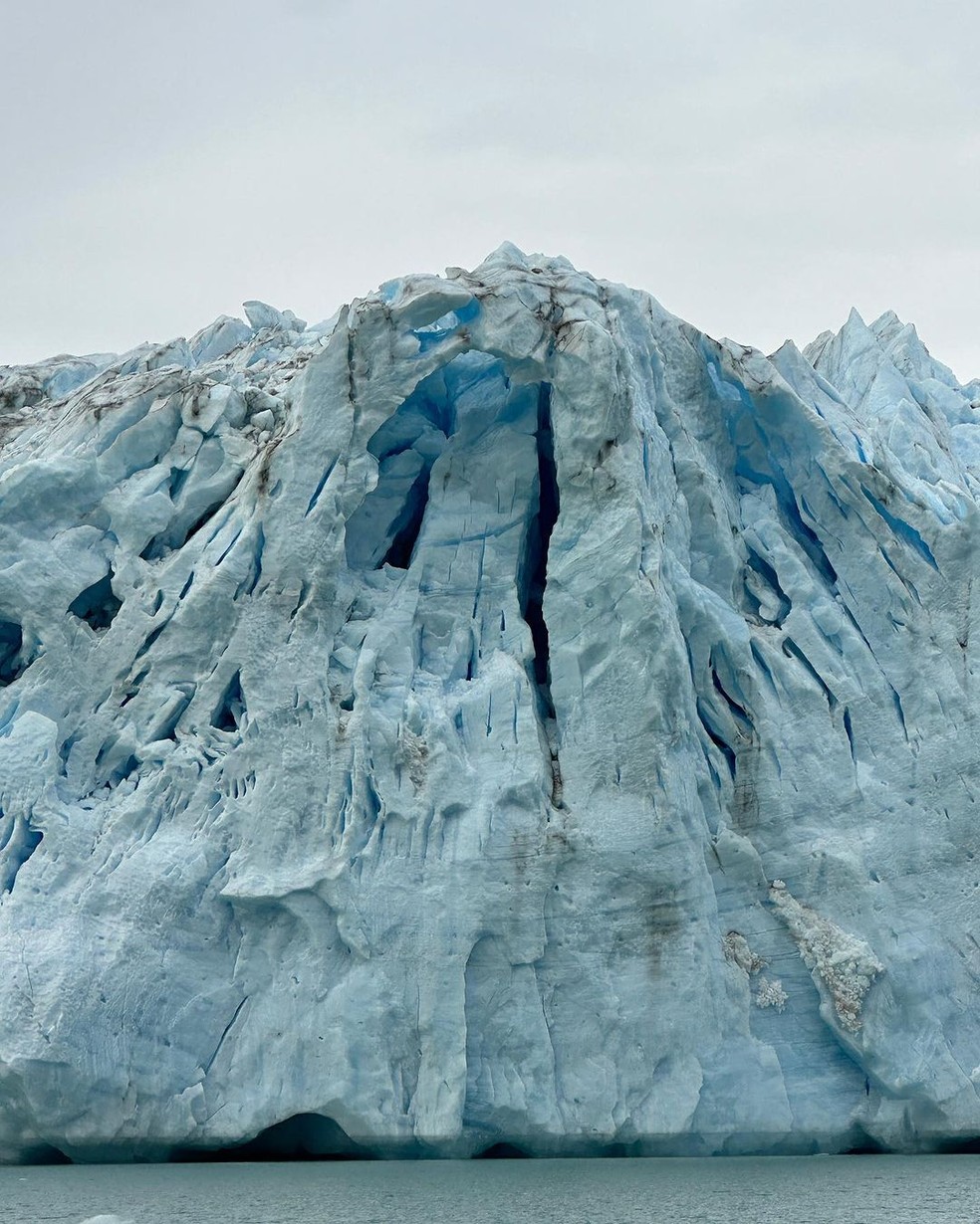 Imagem de uma geleira compartilhada por Martha Stewart — Foto: Reprodução/Instagram